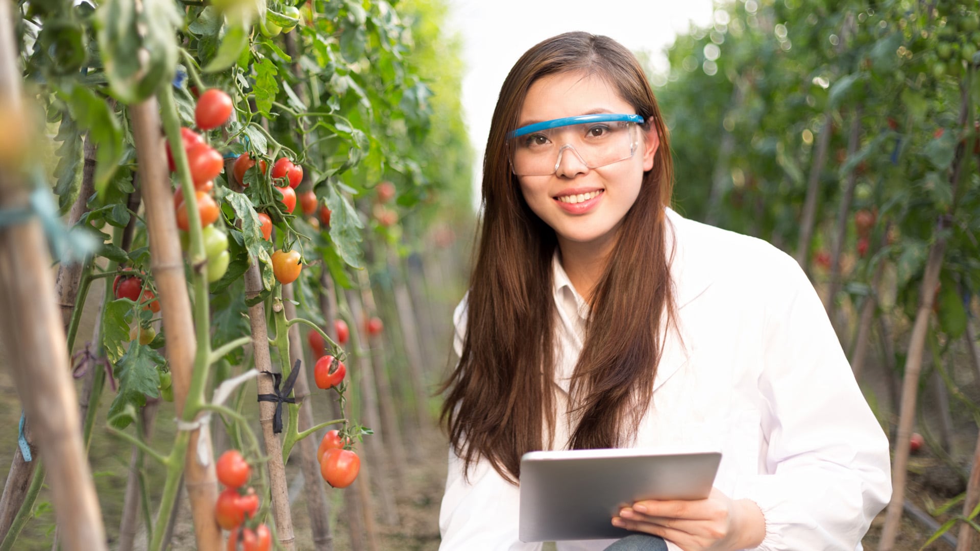 How To Become An Agricultural Engineer Career Girls Explore Careers