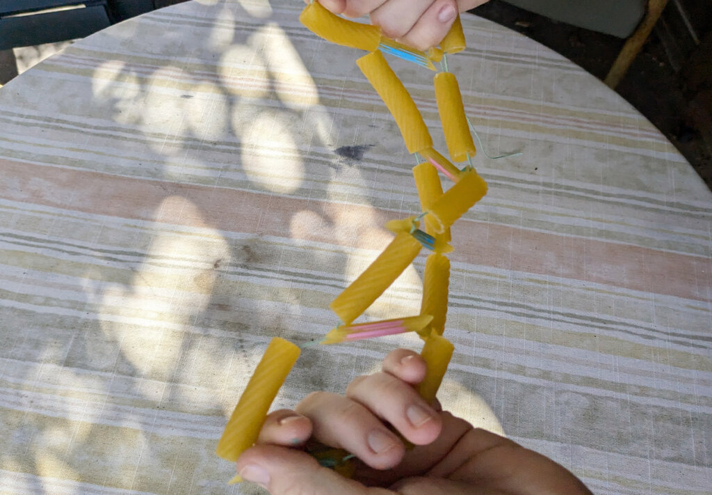 Genetics Empowerment Video Group Activity - Genetics DNA Model From Pasta - finished example